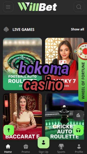 Bokoma Casino - Best African Casino-casinocasi.ydblkf.net